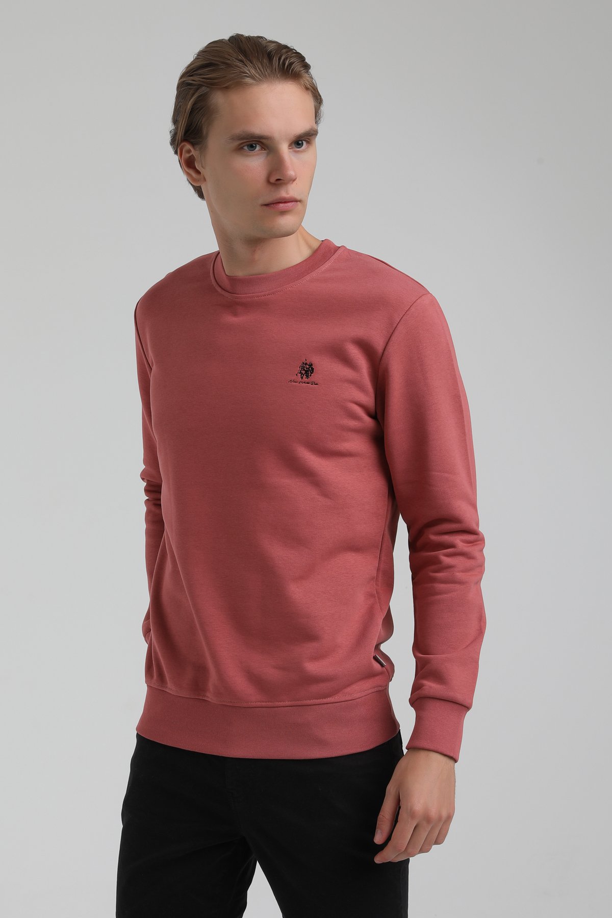 New World Polo Bisiklet Yaka Kestane Regular Sweatshirt 22FWM60115