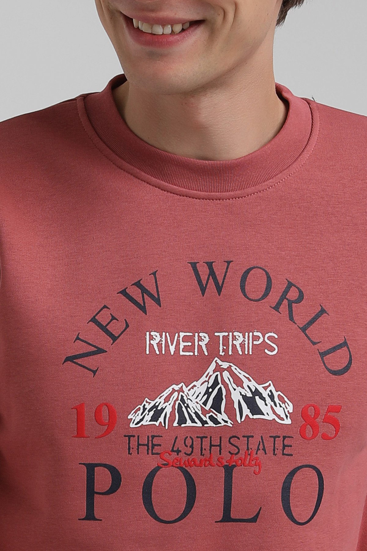 New World Polo Bisiklet Yaka Kestane Regular Sweatshirt 22FWM60133