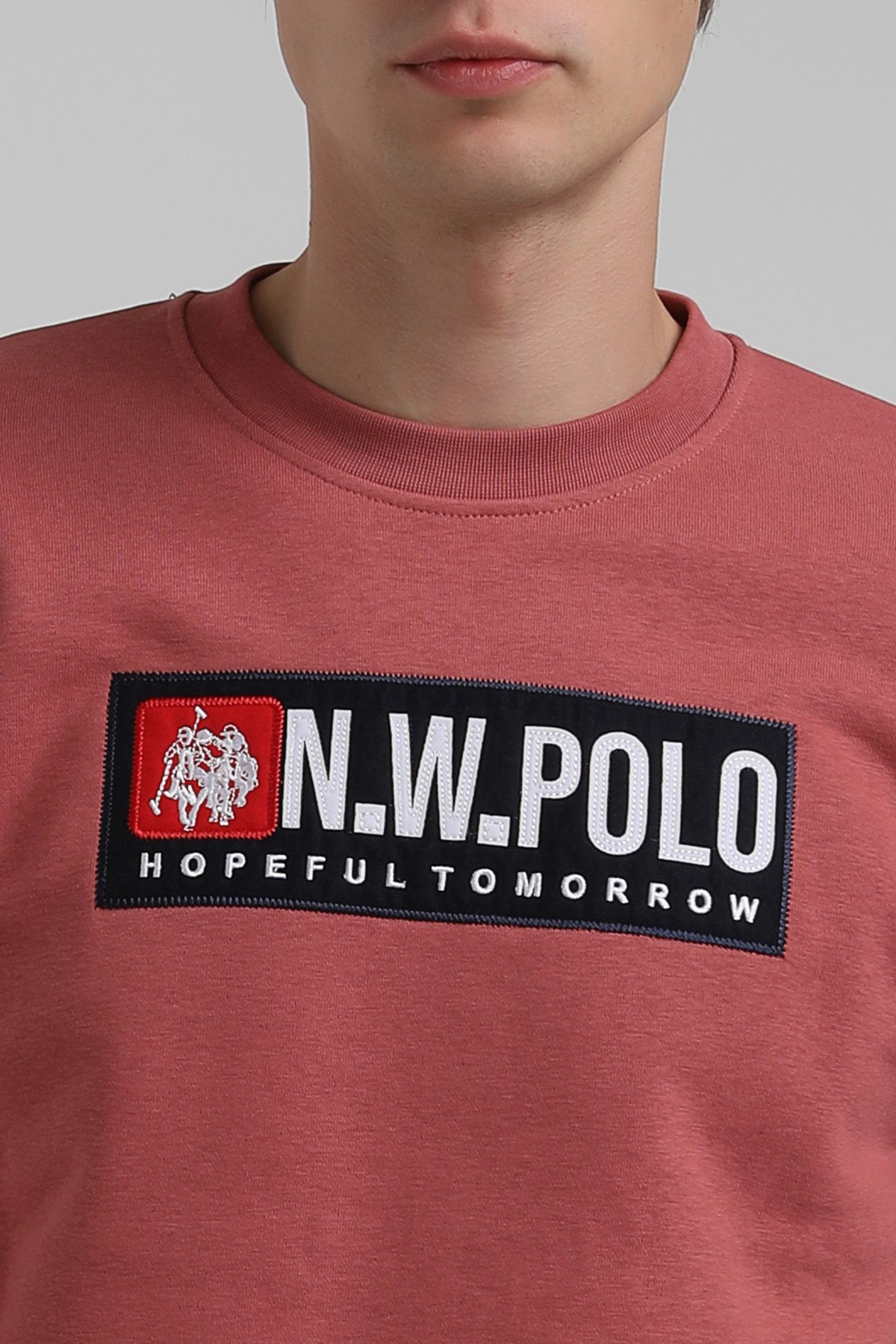 New World Polo Bisiklet Yaka Kestane Regular Sweatshirt 22FWM60127
