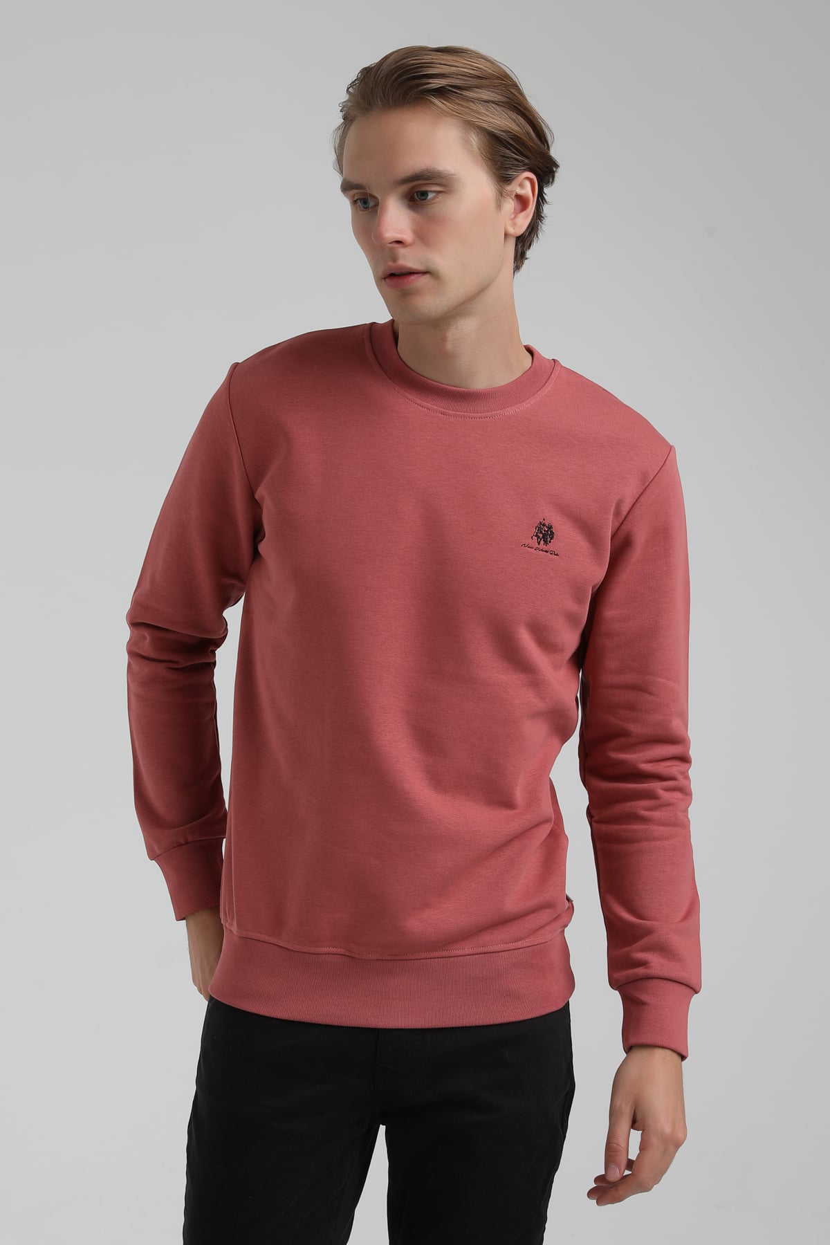 New World Polo Bisiklet Yaka Kestane Regular Sweatshirt 22FWM60115
