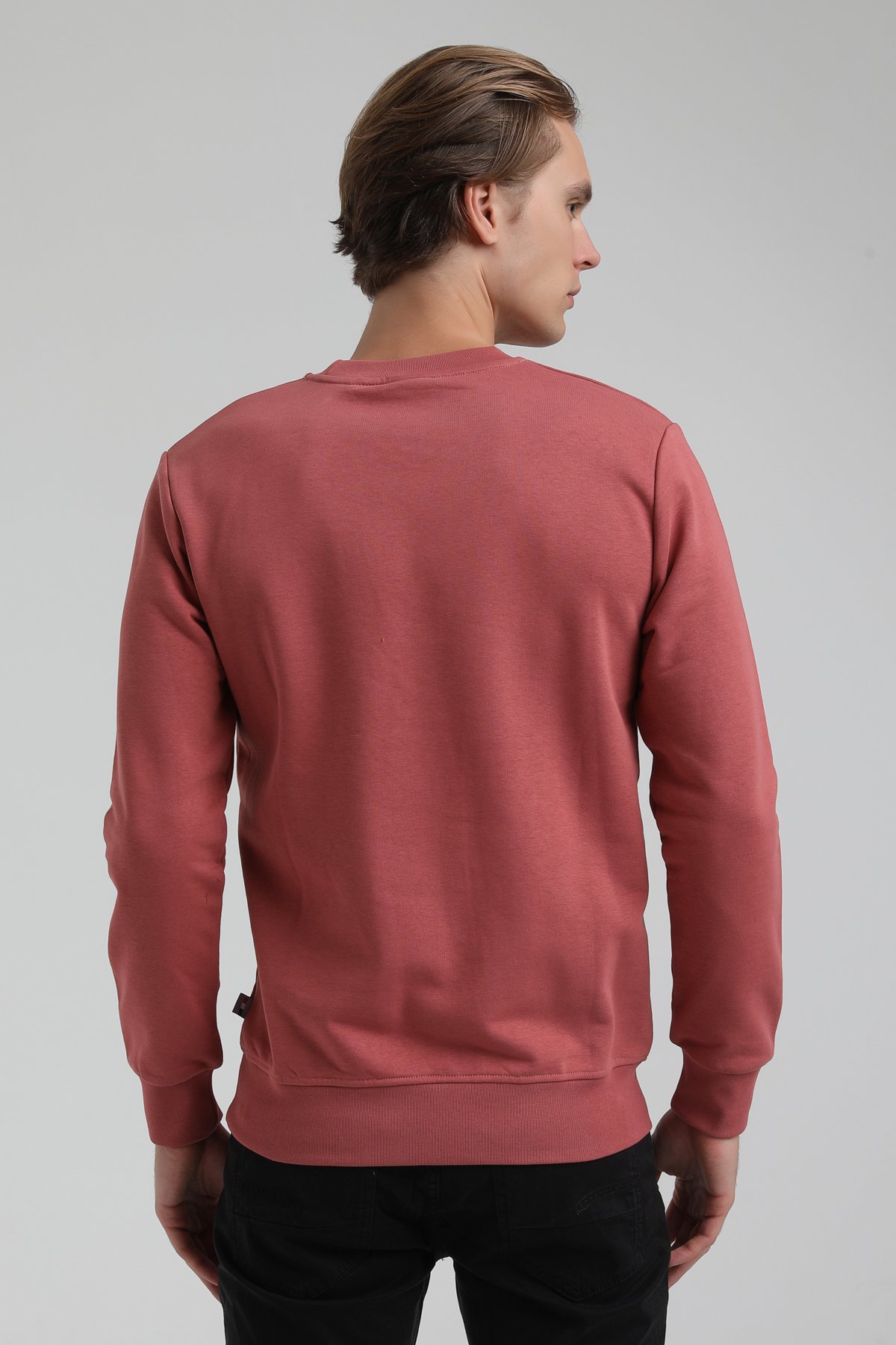New World Polo Bisiklet Yaka Kestane Regular Sweatshirt 22FWM60115