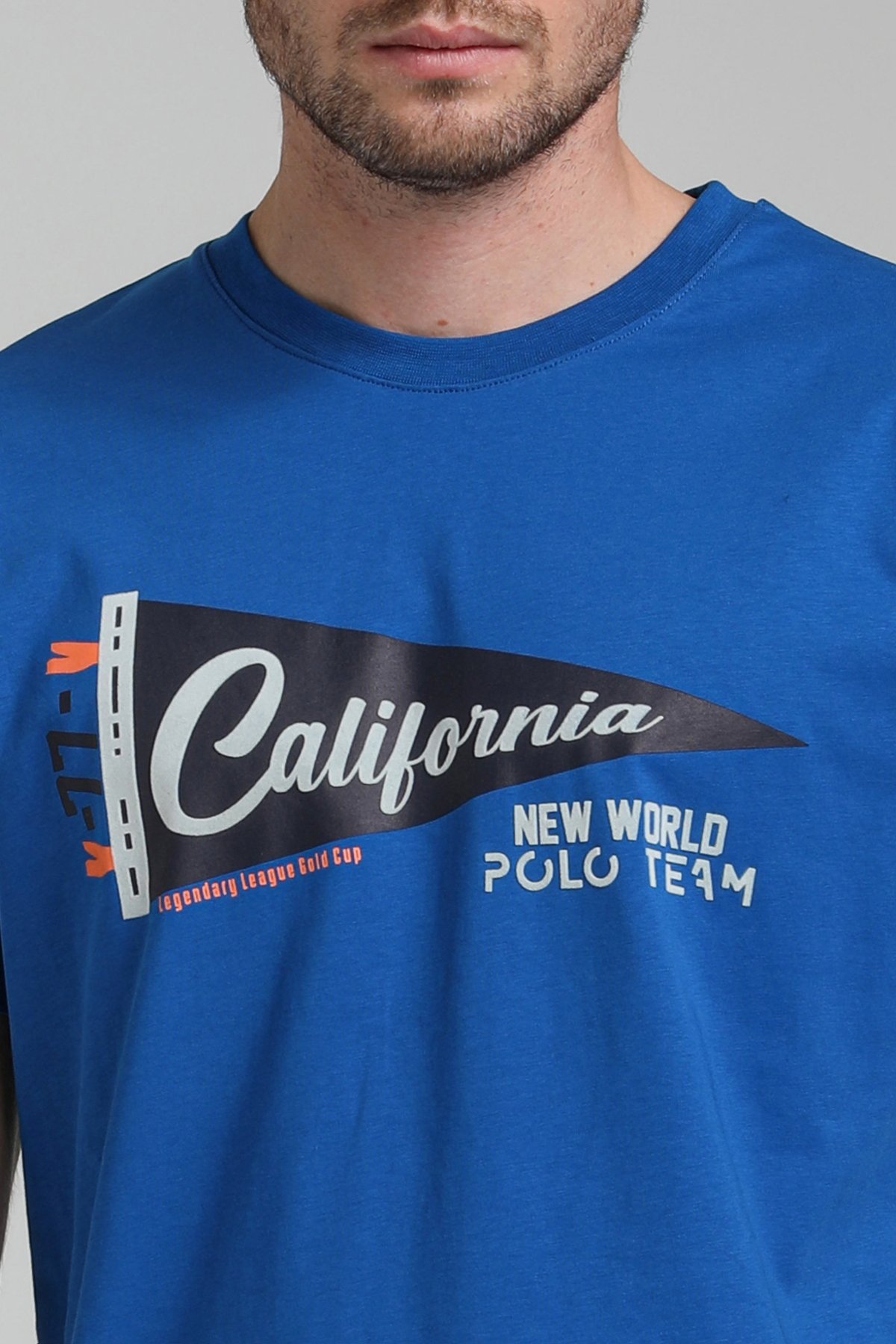 New World Polo Bisiklet Yaka Saks Regular Custom Tişört 23SSM20300