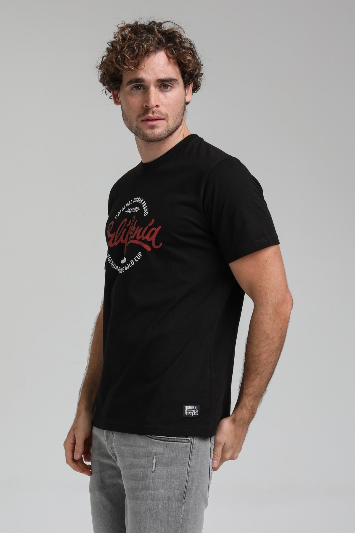 New World Polo Bisiklet Yaka Siyah Slim Fit Tişört 23SSM20291
