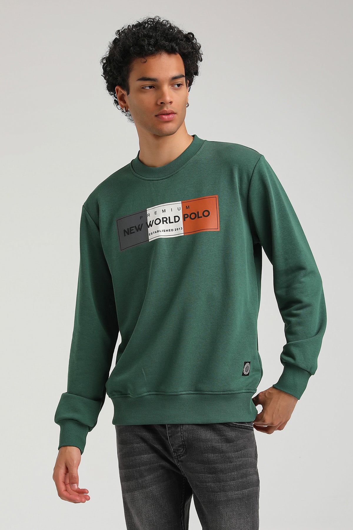New World Polo Bisiklet Yaka Yeşil Slim Fit Sweatshirt 23FWM60155
