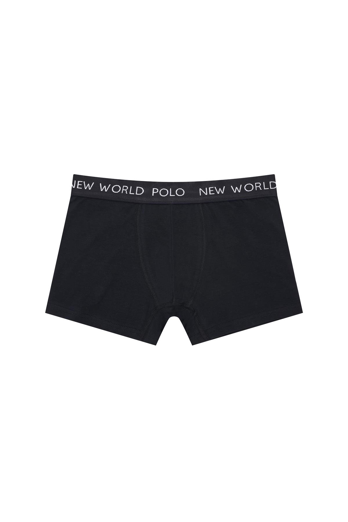 New World Polo Boxer Lacivert Slim Fit Boxer 23SSM1001