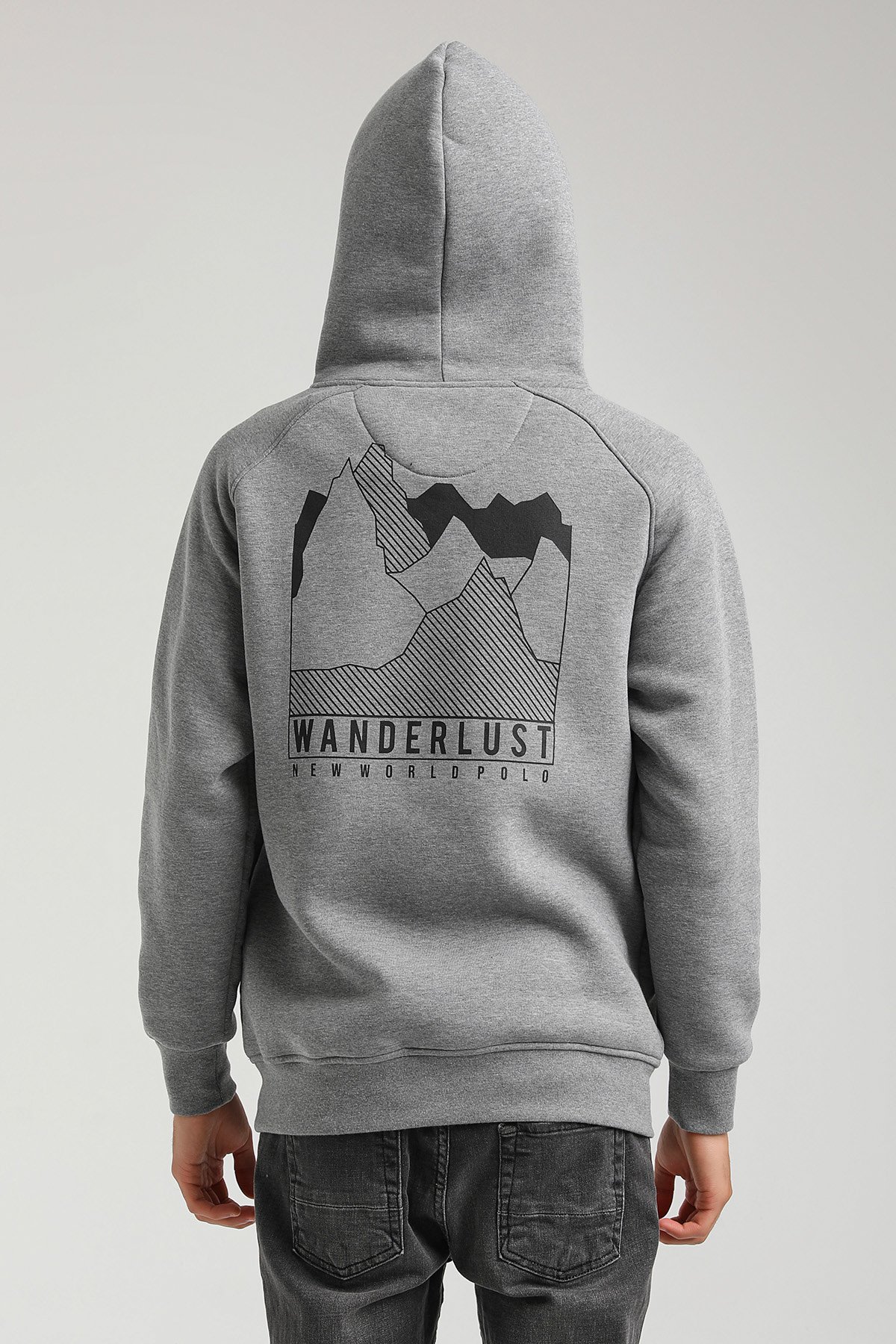 New World Polo Kapşonlu Gri Slim Fit Hoodie 23FWM64042