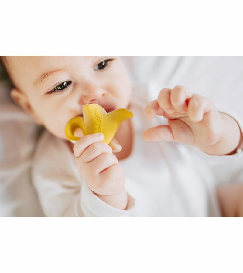 Oli&Carol Anita Muz Şeklinde Doğal Diş Kaşıyıcı