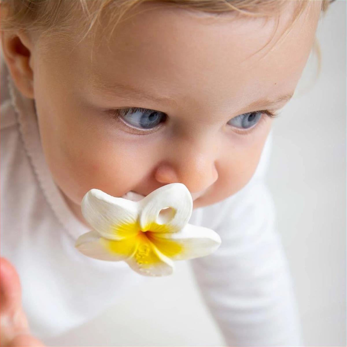 Oli&Carol Hawaii Çiçeği Şeklinde Doğal Diş Kaşıyıcı