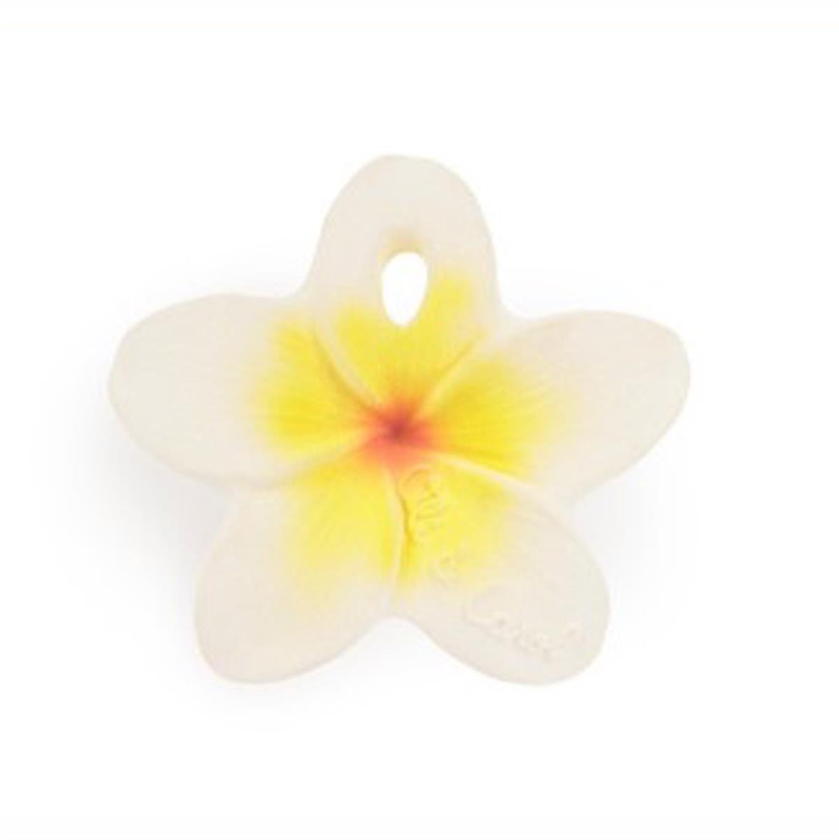 Oli&Carol Hawaii Çiçeği Şeklinde Doğal Diş Kaşıyıcı