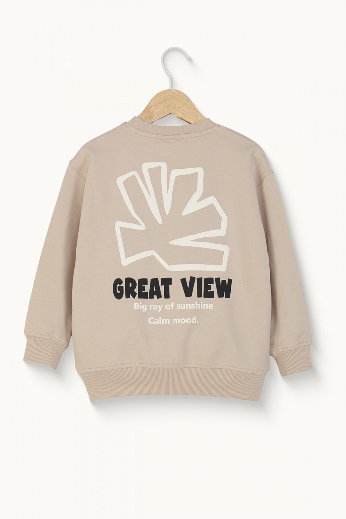 Mojo Erkek Çocuk 4-9 Yaş Mevsimlik Desenli Sweatshirt Bej