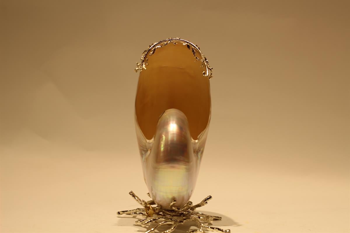 Design of LuxuryDESIGN OF LUXURYM-003314KAFİ-AKS01 GÜMÜŞ KAPLAMA MERCAN AYAKLI NAUTİLİUS ( Y: 22) | designofluxury.com.tr KAFİ-AKS01 GÜMÜŞ KAPLAMA MERCAN AYAKLI NAUTİLİUS ( Y: 22)