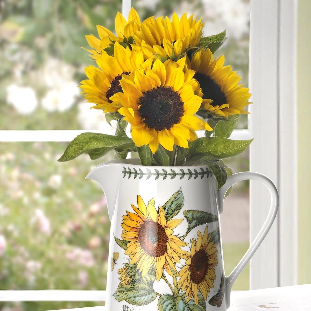 PORTMEIRIONRW.BGSU.72500Botanic Garden Bella Jug