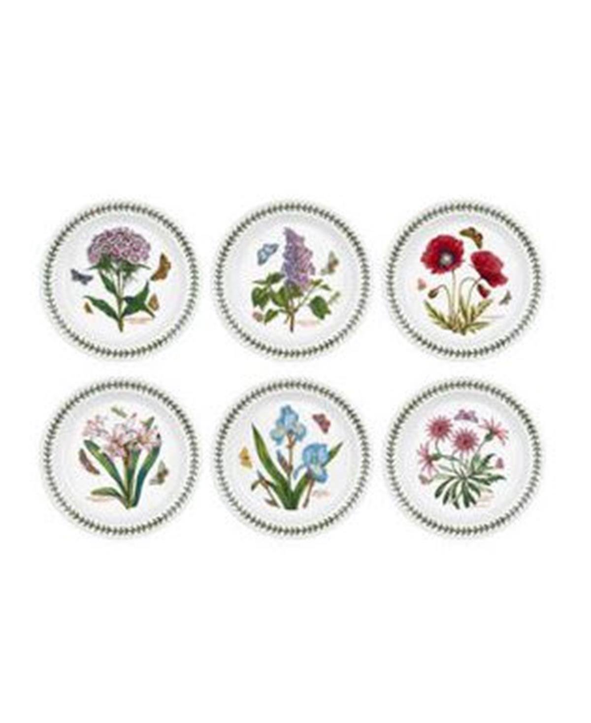 Design of LuxuryPORTMEIRIONRW.EG.05072BOTANİC GARDEN EXOTİC 20 CM 6 LI