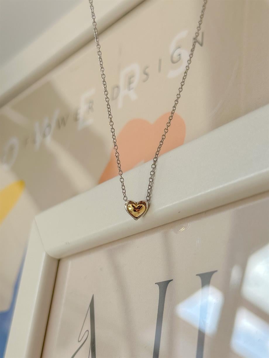 Çift Renkli Kalp Kolye - 925 Ayar Gümüş