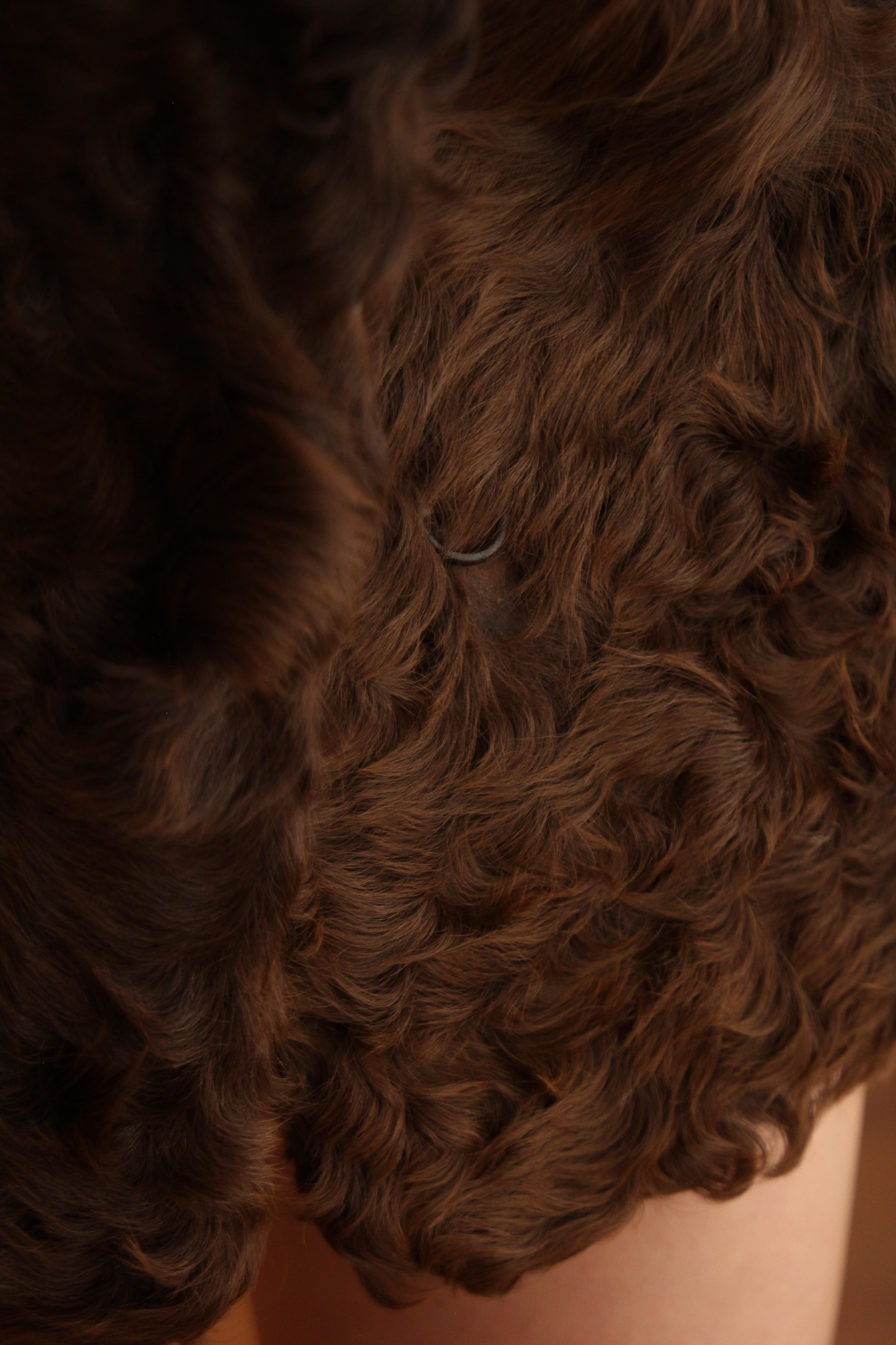 Vintage Real Fur