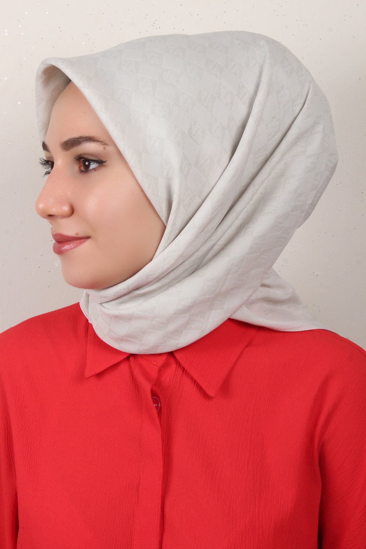 Armine Ultralight Eşarp 3102-3 Gümüş