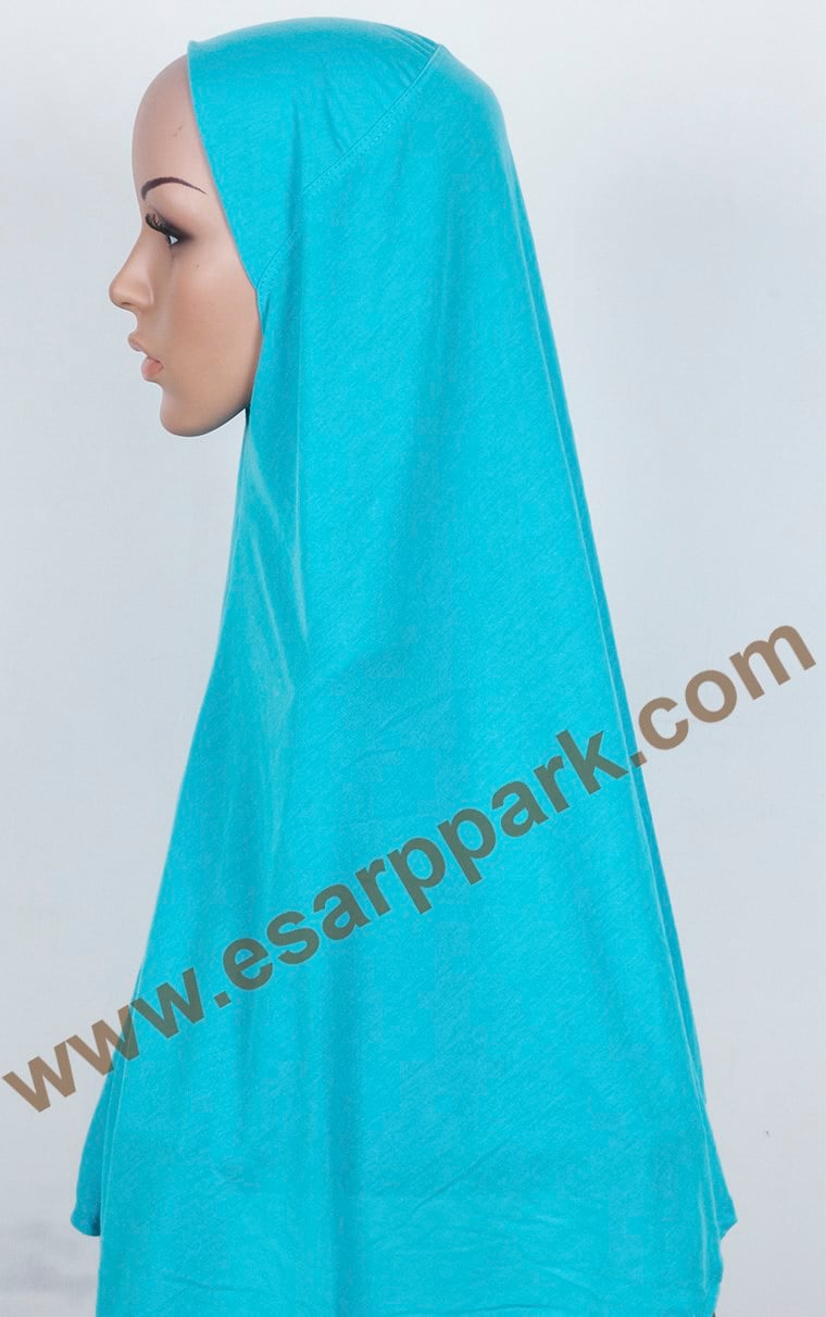 Tesettürlü Bone 2531-12