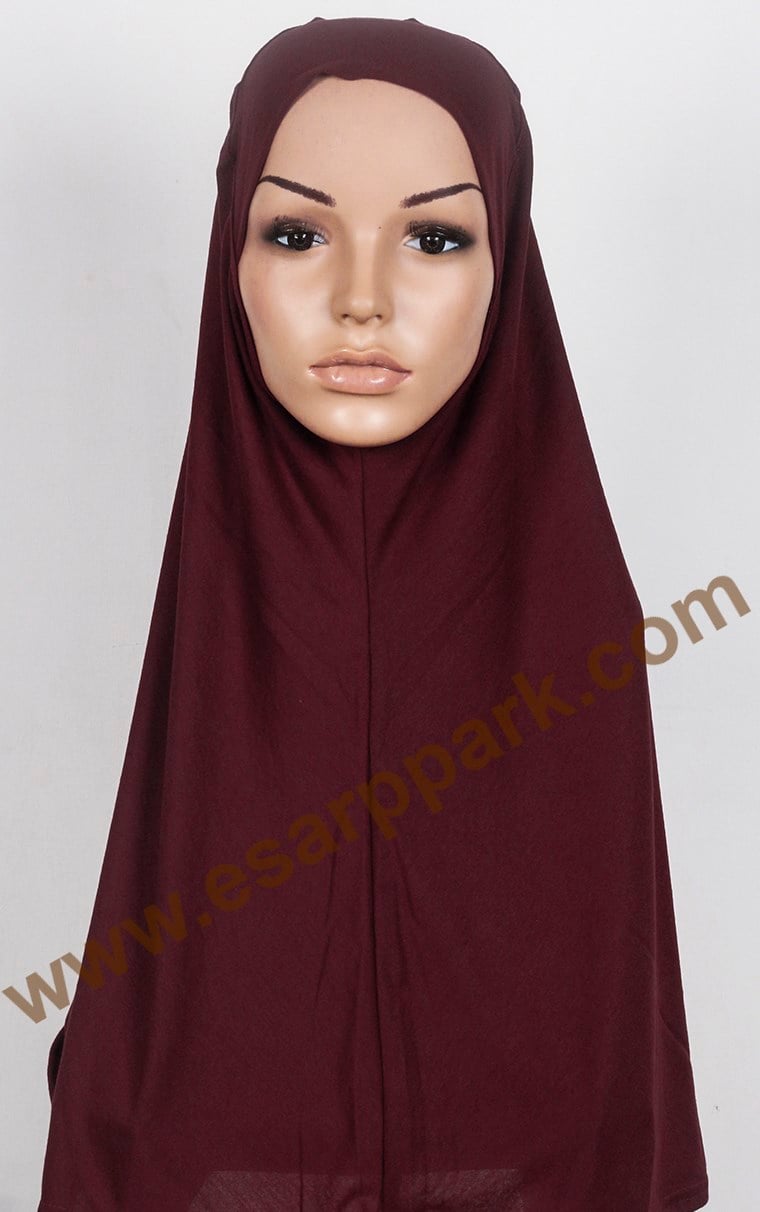 Tesettürlü Bone 2531-4