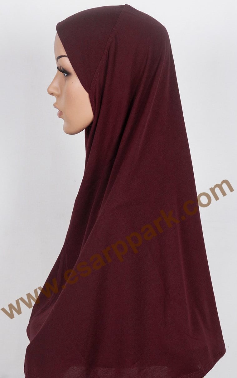 Tesettürlü Bone 2531-4