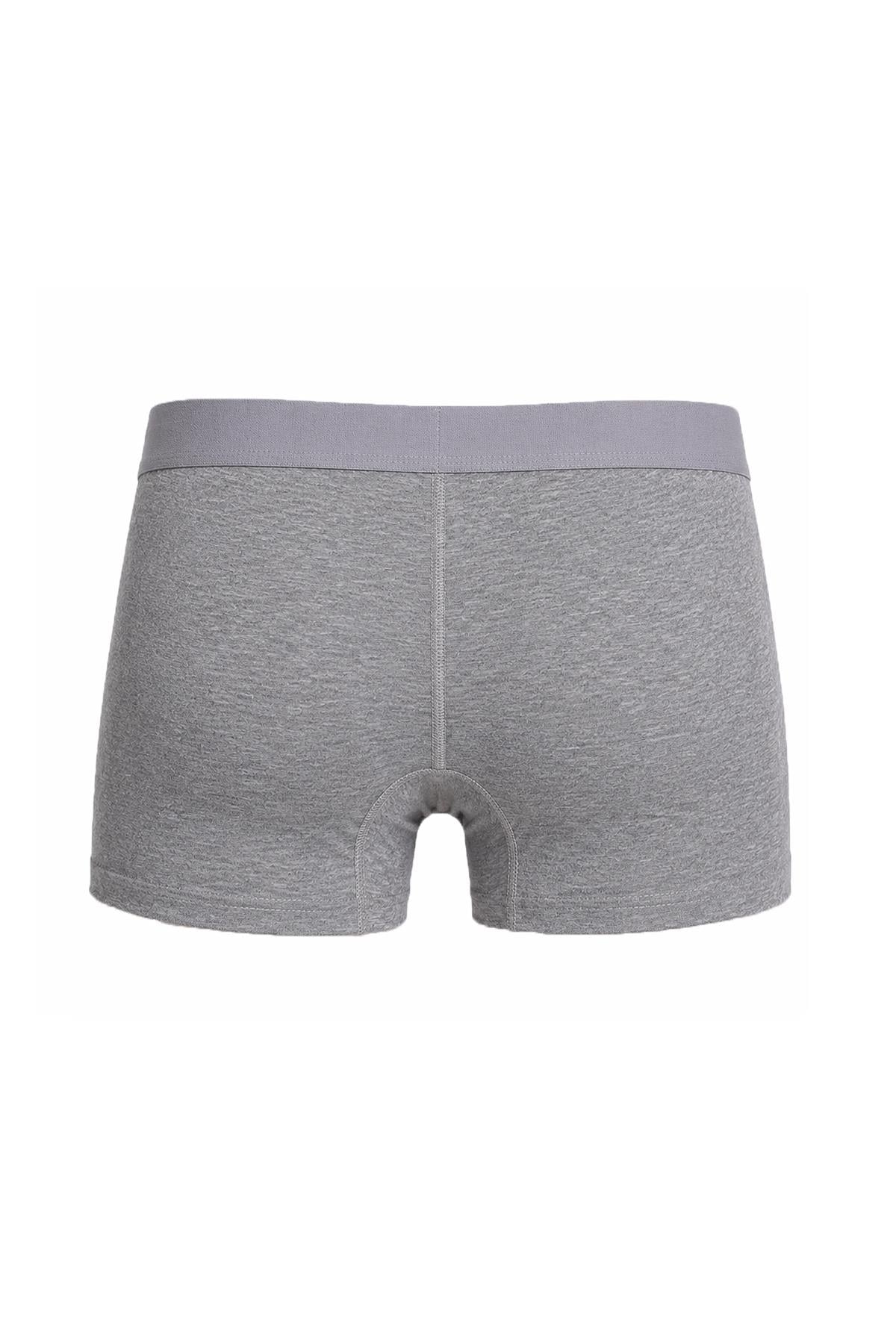 GRİ BOXER TEKLİ