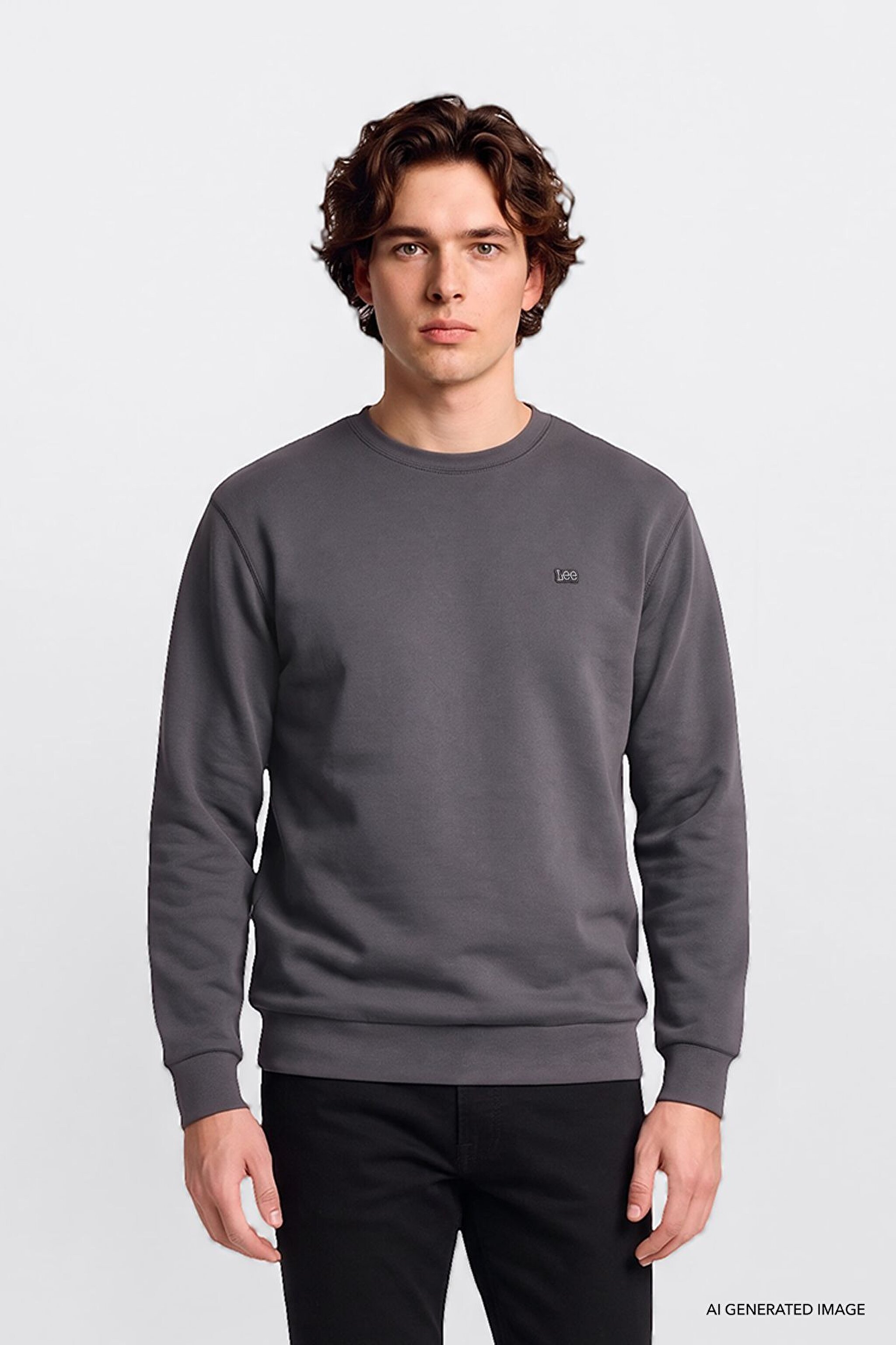 Erkek Small Logo Sweatshirt Anthracita