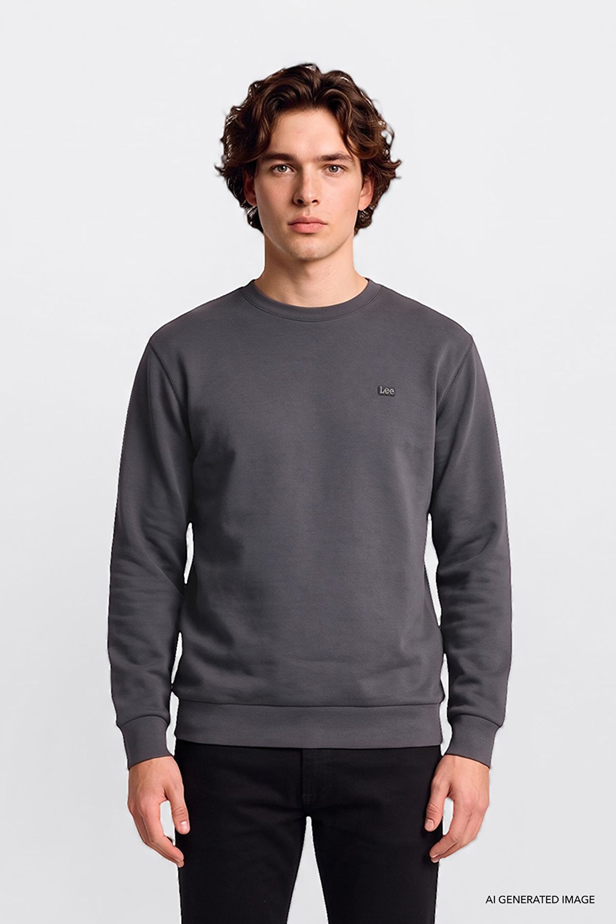 Erkek Small Logo Sweatshirt Anthracita