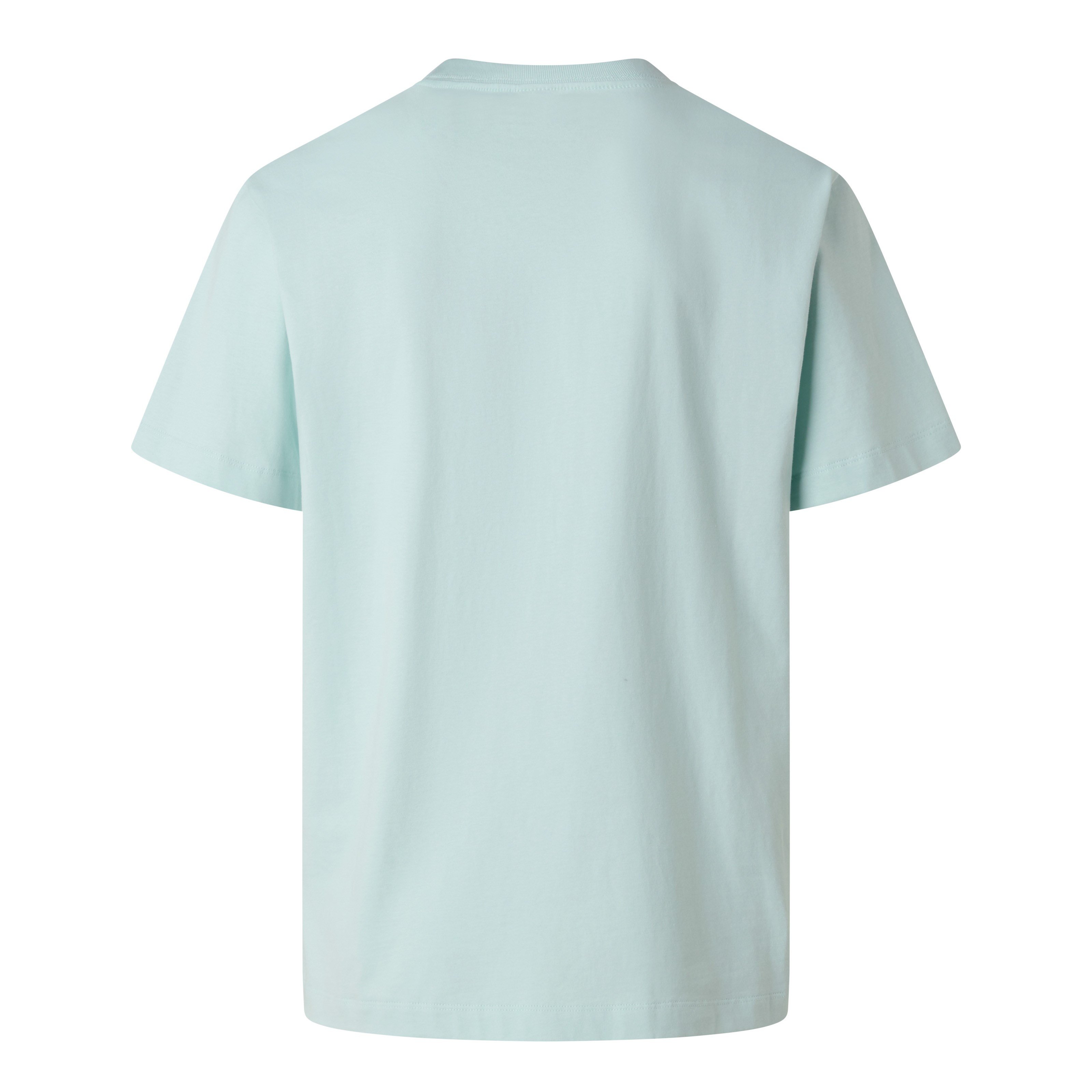M ESSENTIAL CENTER LOGO RELAXED SHORT SL Frost