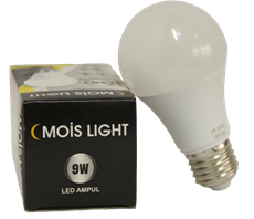 Led Ampul 9W