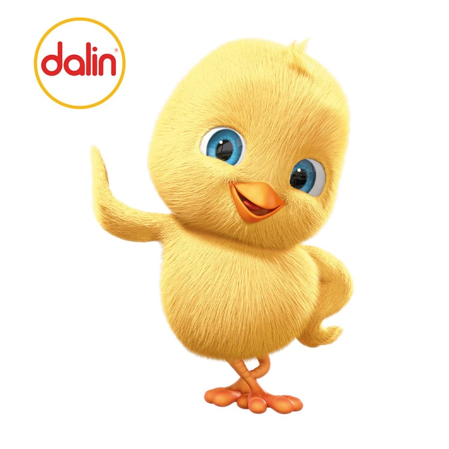 Dalin Klasik Şampuan 900 ml