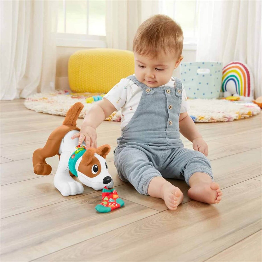Fisher Price Emeklemeyi ve Saymayı Öğreten Köpekçik