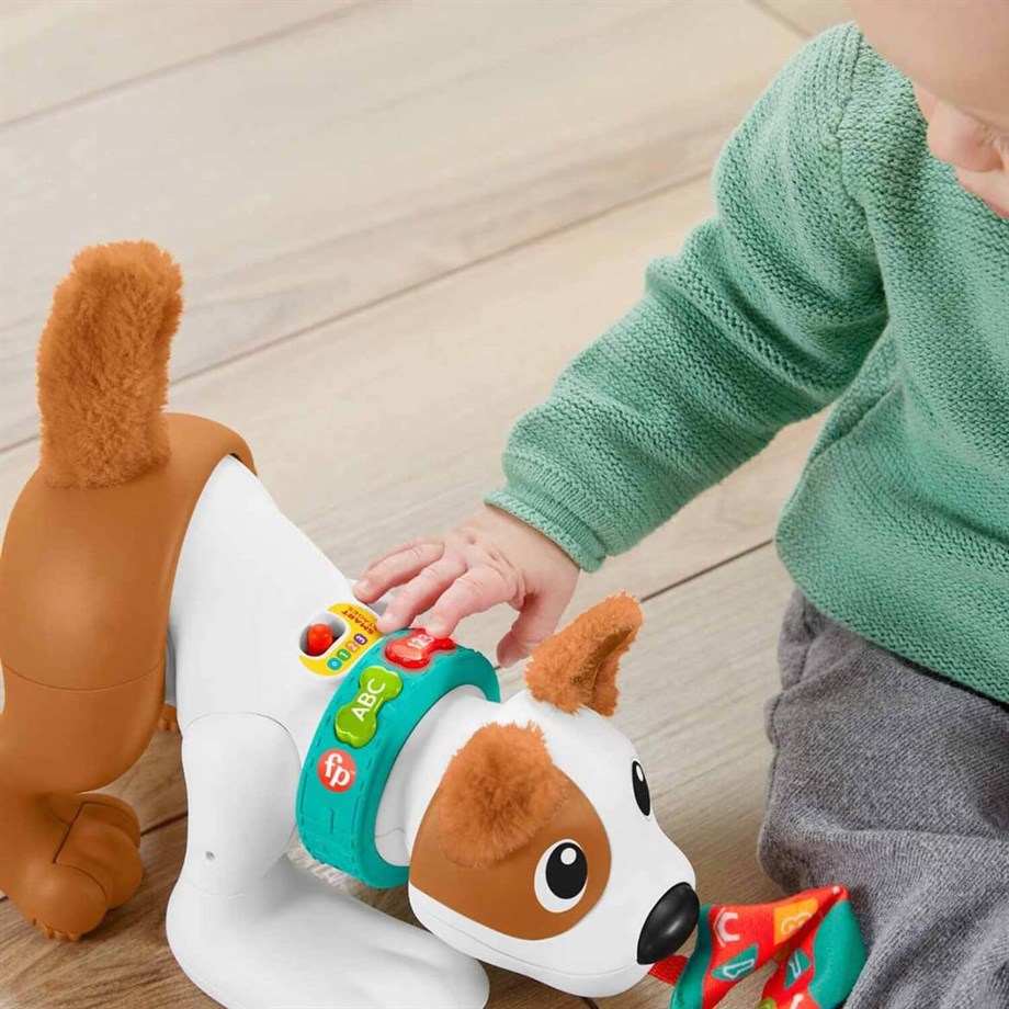 Fisher Price Emeklemeyi ve Saymayı Öğreten Köpekçik