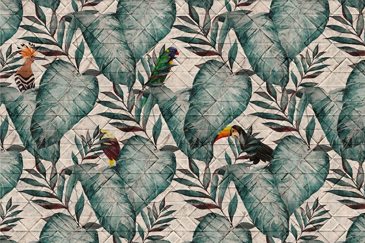 Adalı Collection