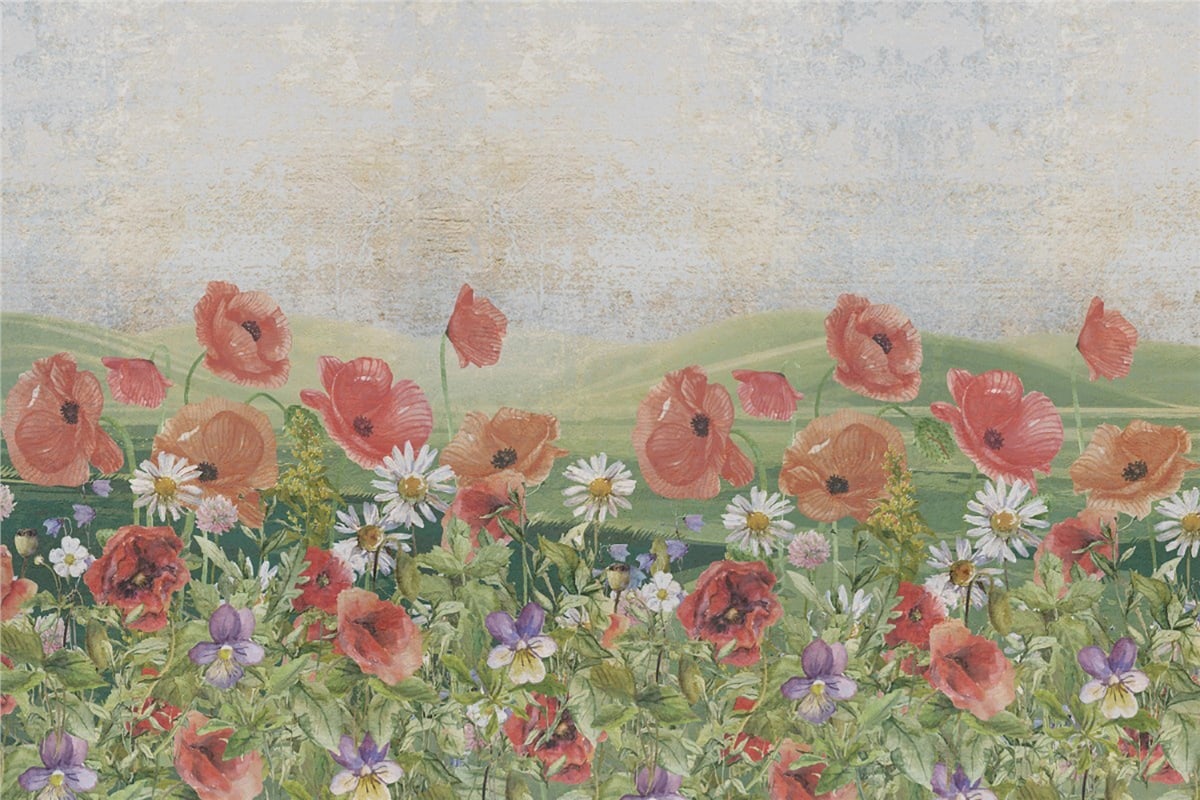 Adalı Collection