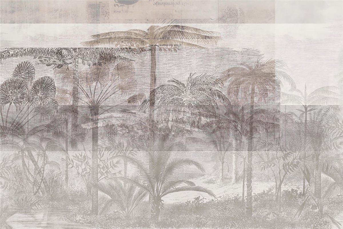 Adalı Collection
