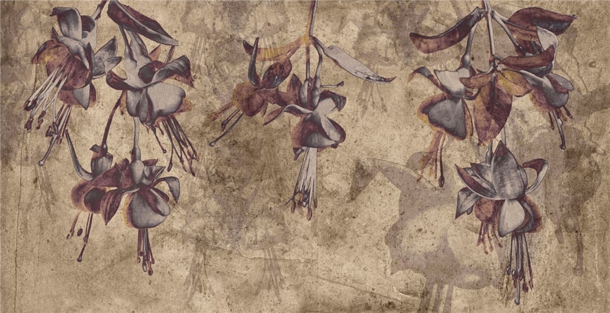 Adalı Collection