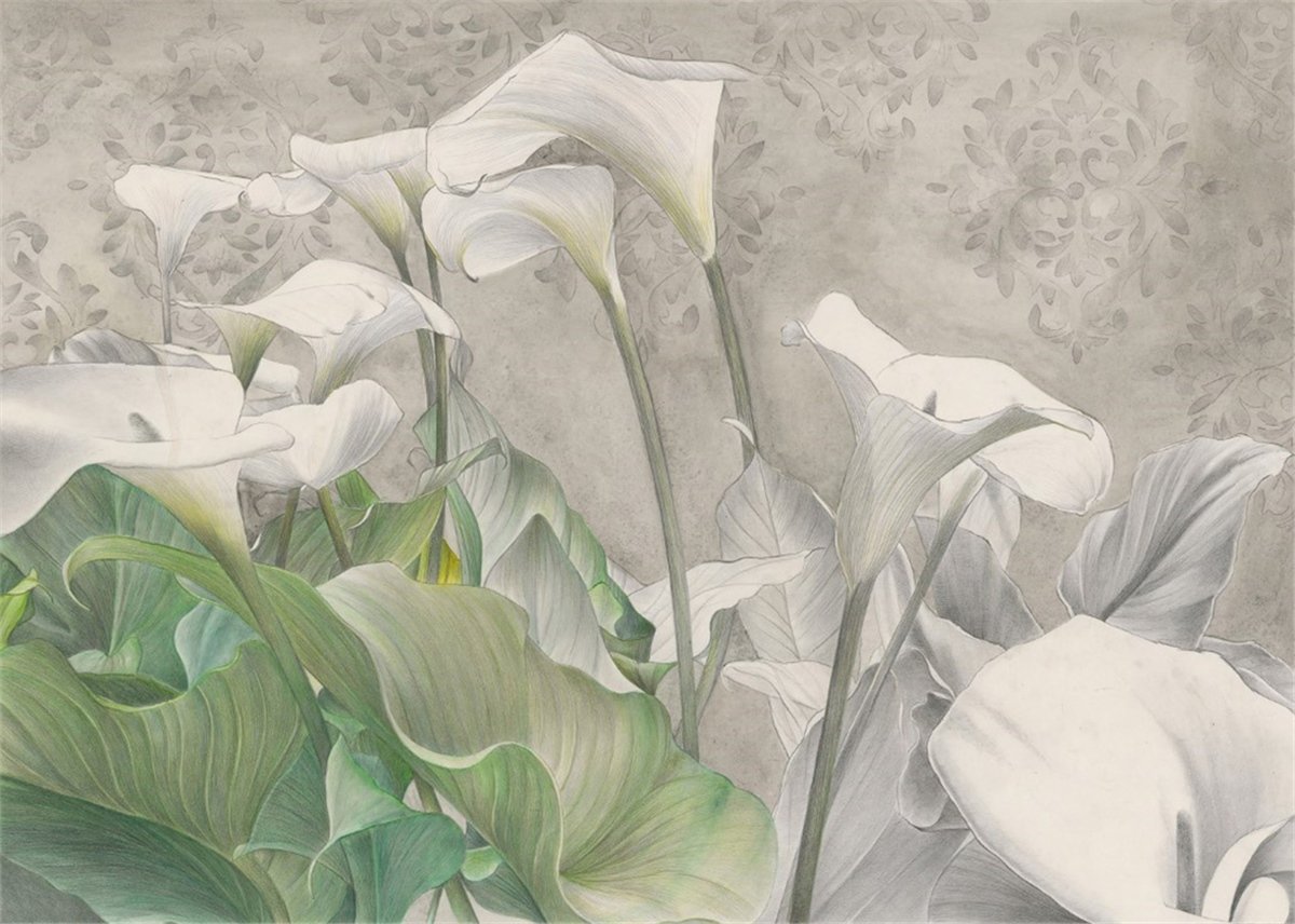 Adalı Collection