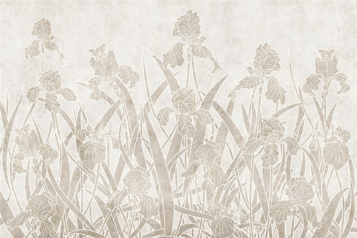 Adalı Collection