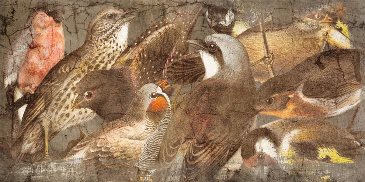 Adalı Collection