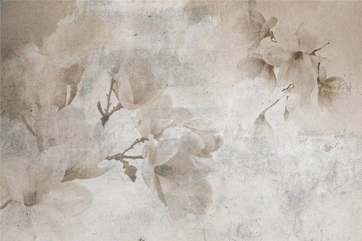 Adalı Collection