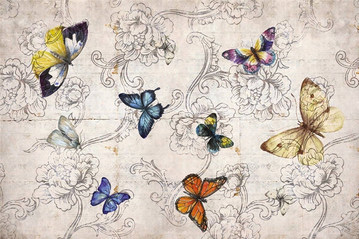 Adalı Collection