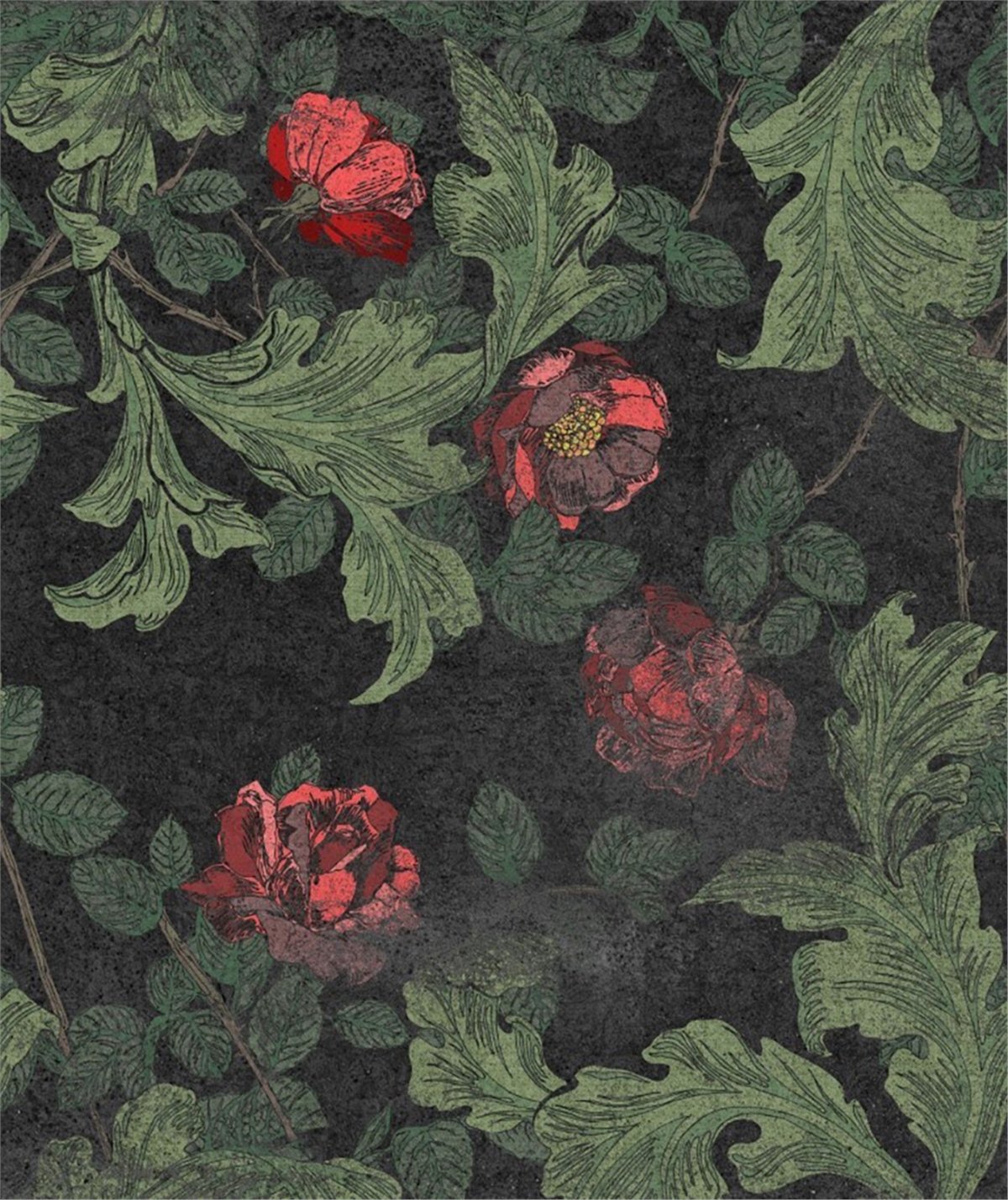 Adalı Collection