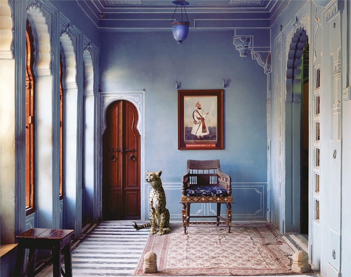 Adalı Collection