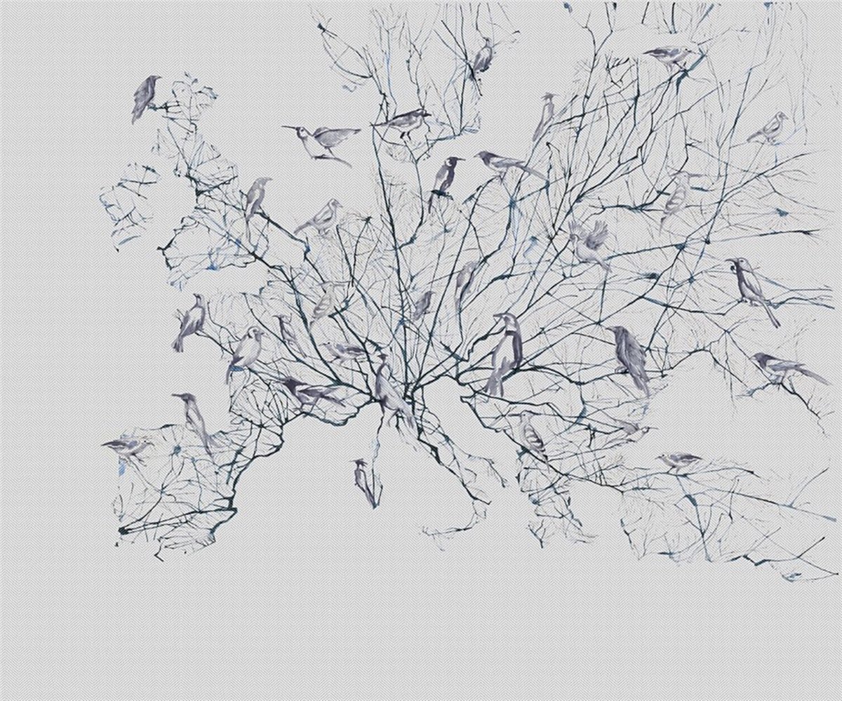 Adalı Collection