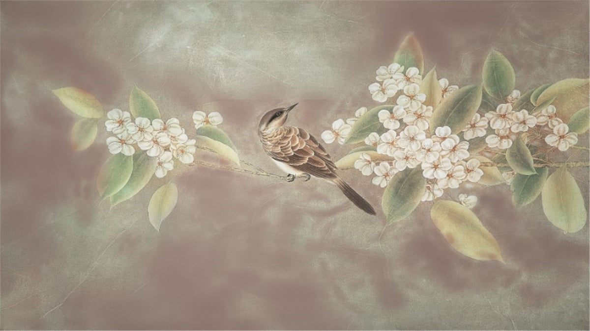 Ağaç ve Dal Duvar Kağıtları 1Ağaç ve Dal Duvar Kağıdı