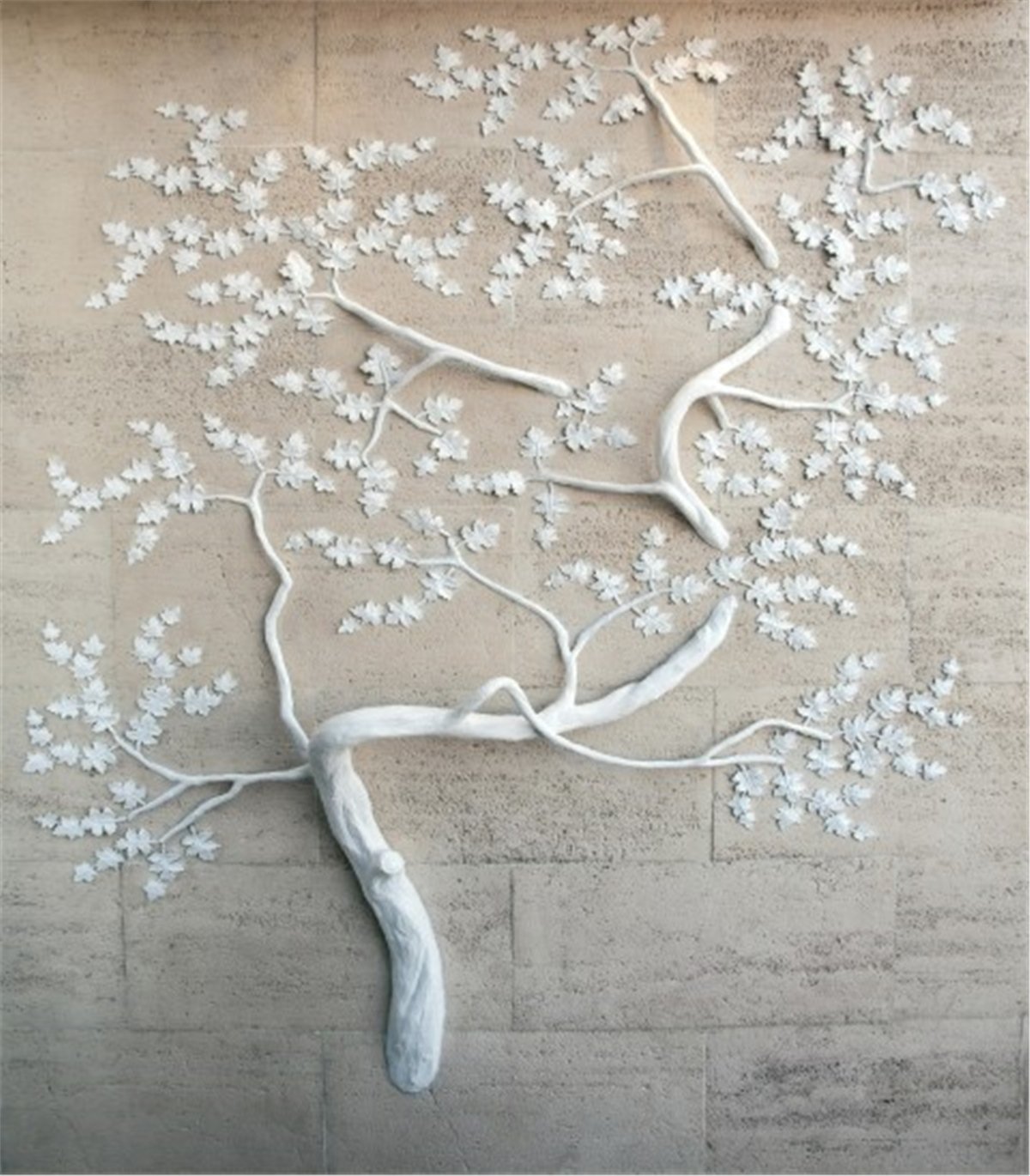 Ağaç ve Dal Duvar Kağıtları 1Ağaç ve Dal Duvar Kağıdı