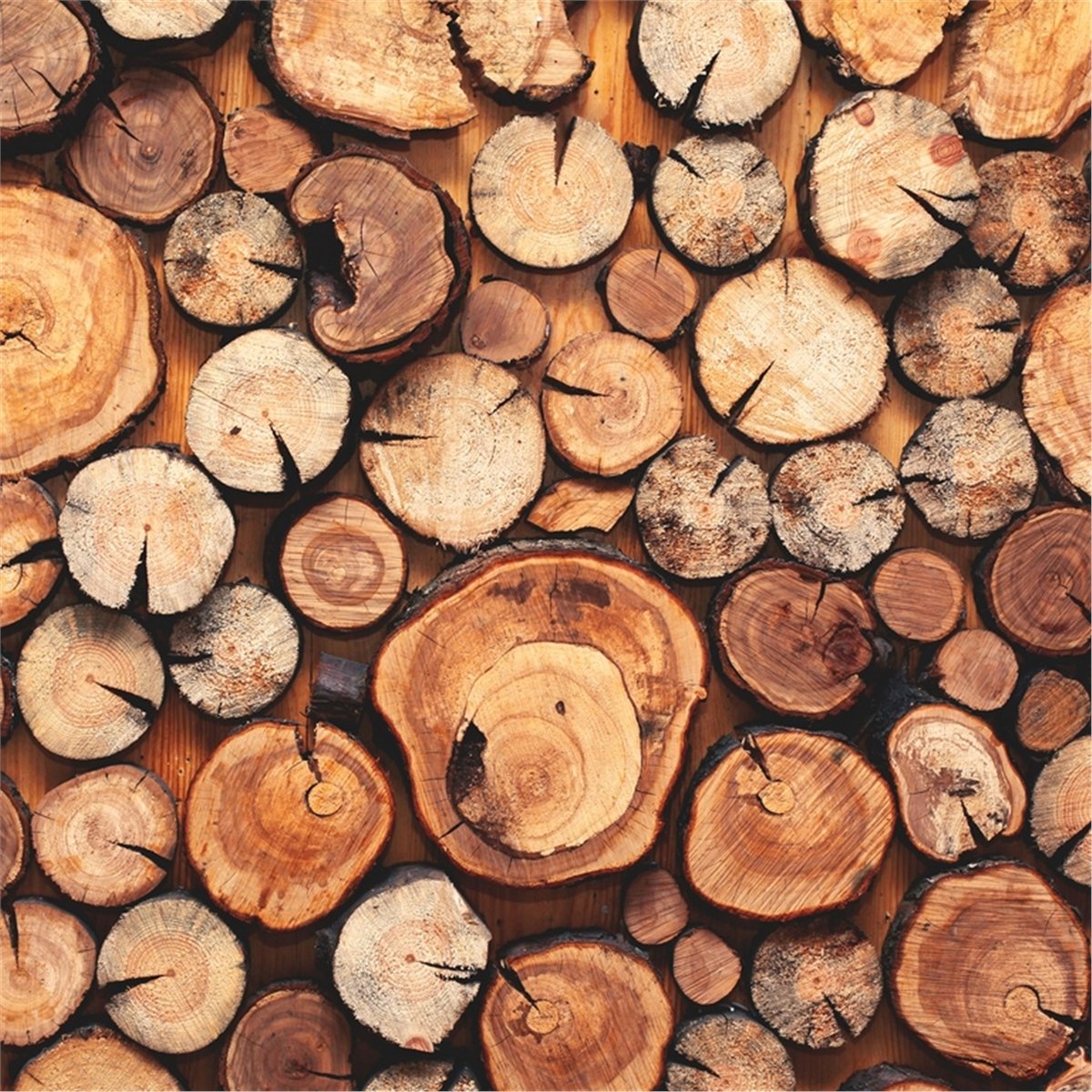 Ahşap Duvar KağıtlarıAhşap Duvar Kağıdı