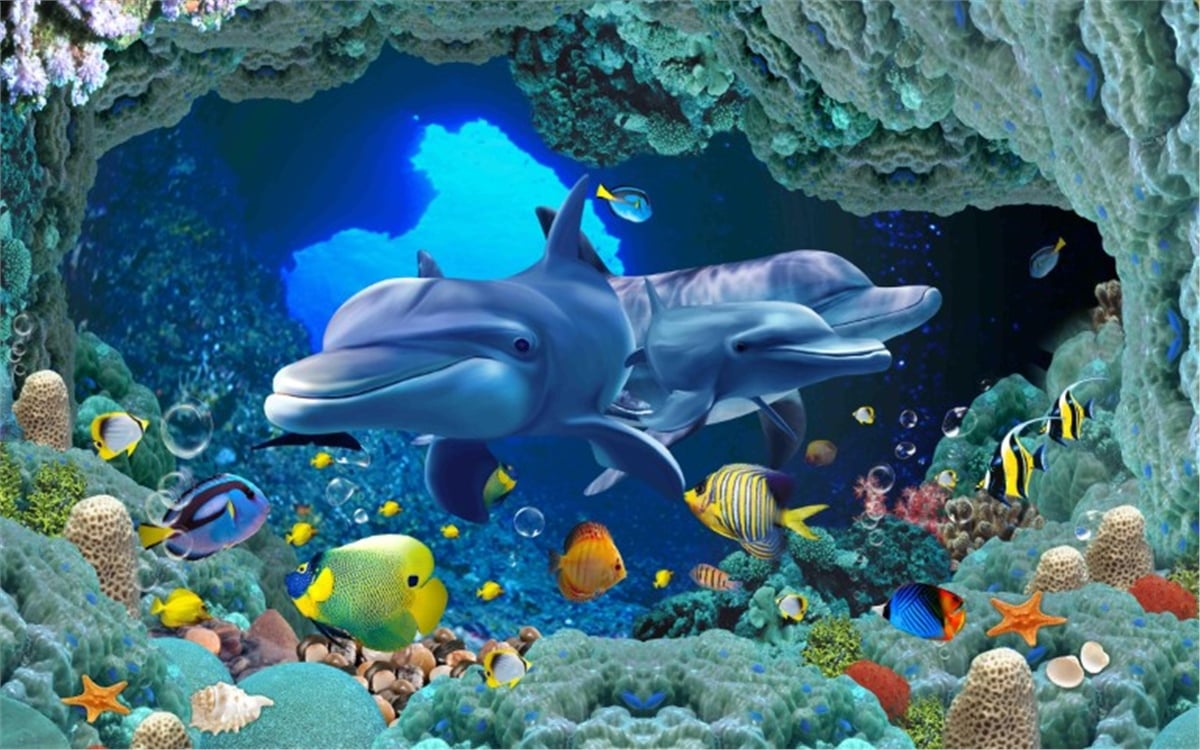 Akvaryum Duvar KağıtlarıAkvaryum Duvar Kağıdı