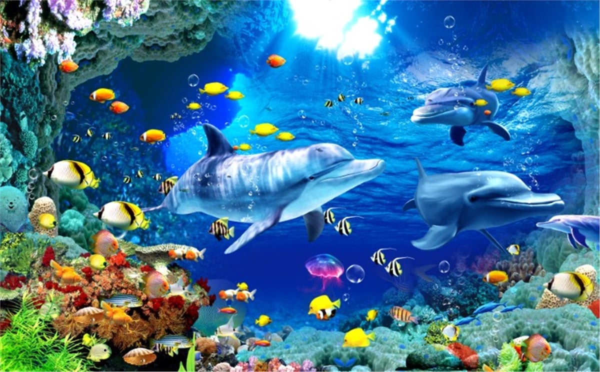 Akvaryum Duvar KağıtlarıAkvaryum Duvar Kağıdı
