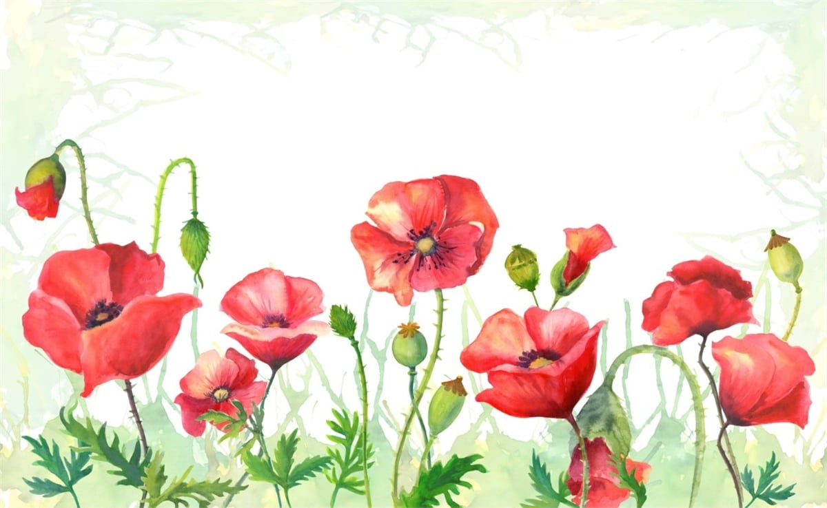 Çiçek Duvar Kağıtari 3Çiçek Duvar Kağıdı