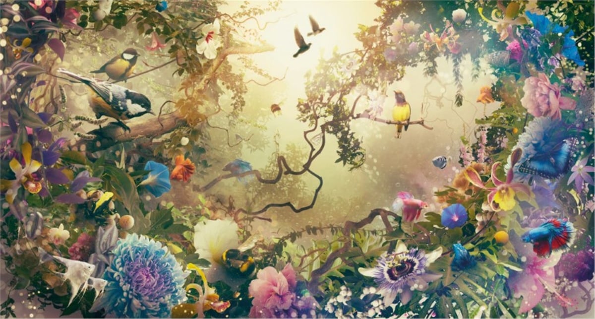 Çiçek Duvar Kağıtları 2Çiçek Duvar Kağıdı